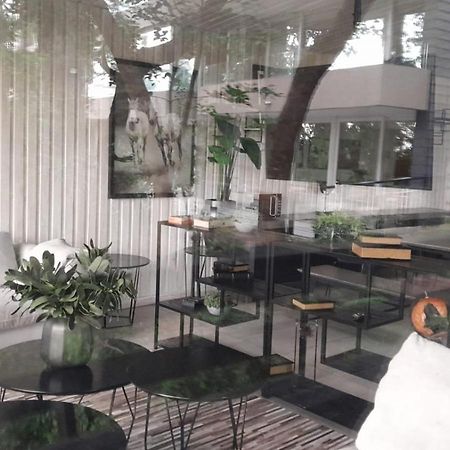 Alta Vista Pucon Centro Apartment ภายนอก รูปภาพ